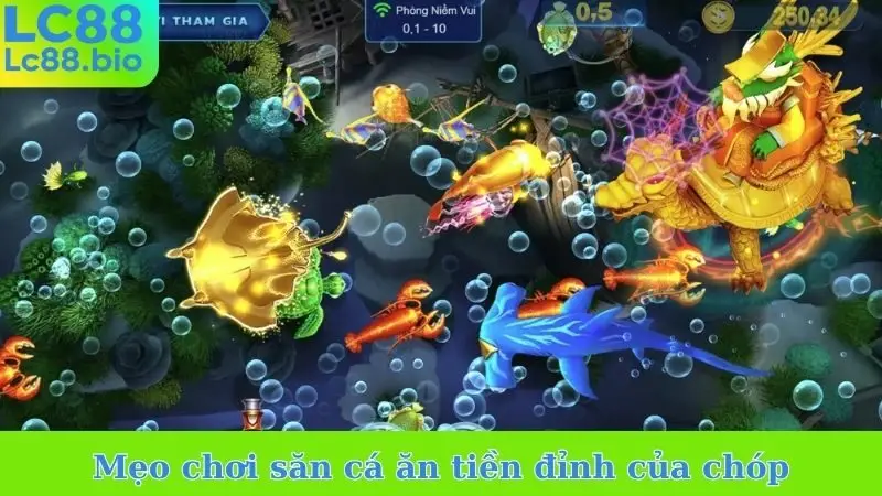 Mẹo chơi săn cá ăn tiền đỉnh của chóp