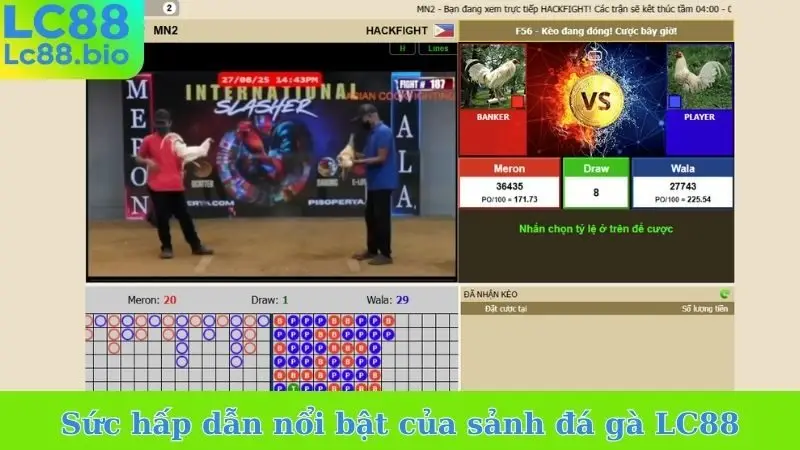 Sức hấp dẫn nổi bật của sảnh đá gà LC88